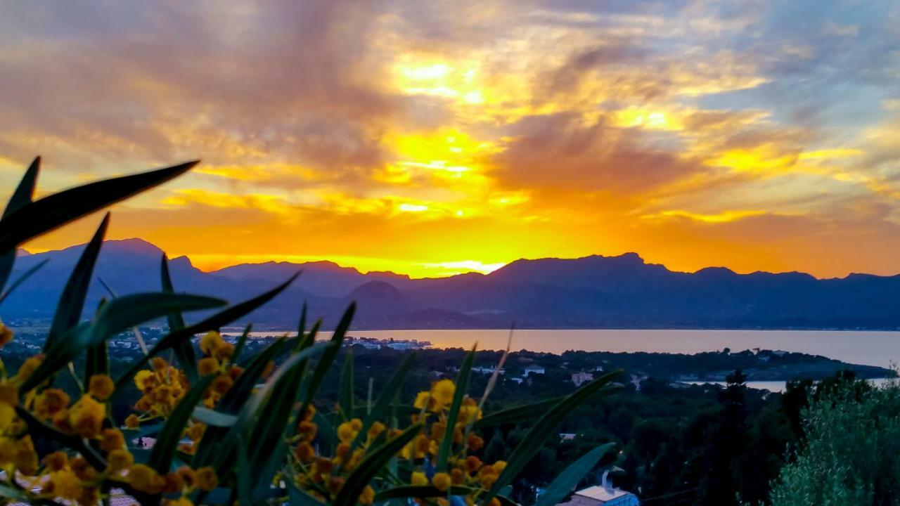 Es Fasser Alcudia  Dış mekan fotoğraf
