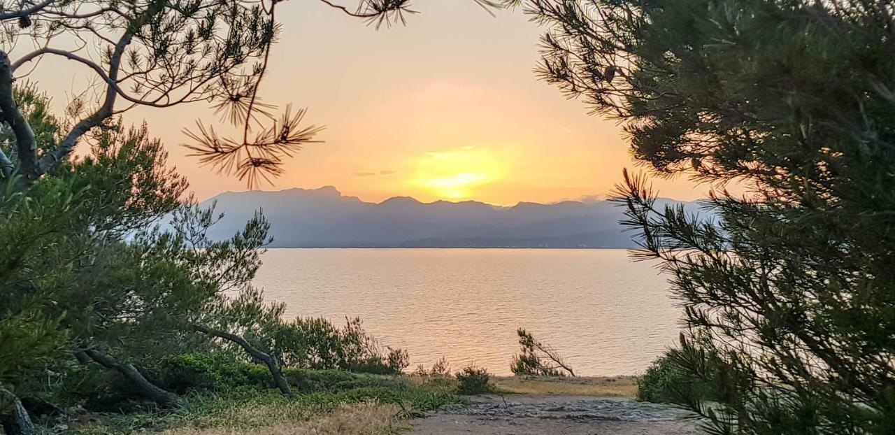 Es Fasser Alcudia  Dış mekan fotoğraf