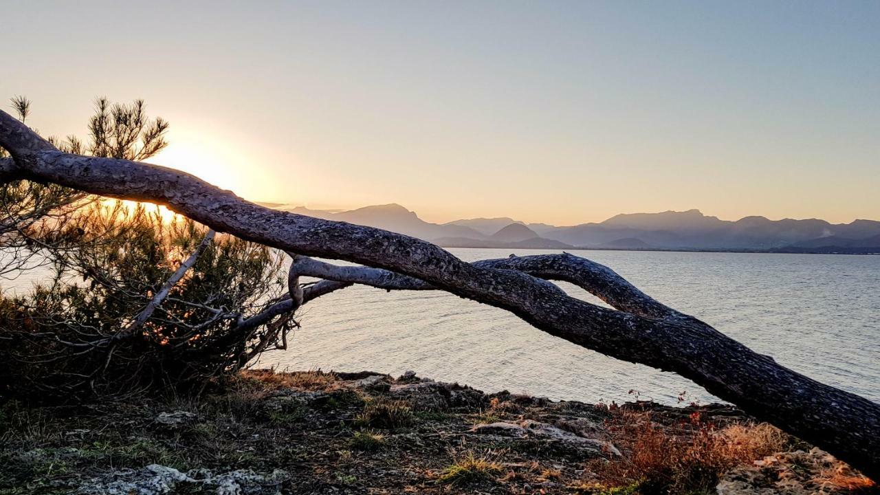 Es Fasser Alcudia  Dış mekan fotoğraf